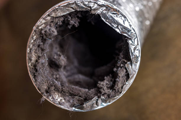 Best Affordable Air Duct Cleaning  in Edmonton, KY
